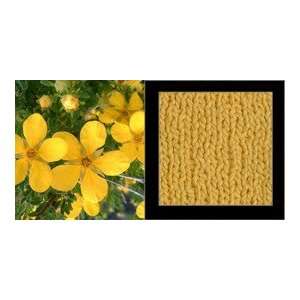    Florafil Solid Yellow Cinquefoil Yarn Arts, Crafts & Sewing