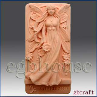 2D Silicone Soap Mold – Zodiac Capricorn fairy  