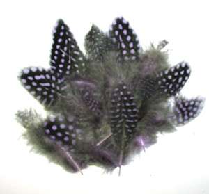 Spotted Guinea Hen Feathers 1 4 Body Plummage LAVANDER dyed 1/4 oz 