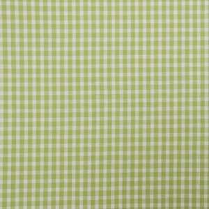 3464 Rene in Lime by Pindler Fabric 
