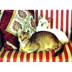  3D Lenticular POSTCARD CATS ON COUCH