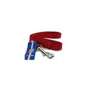  Single Thick Nylon Dog Lead Red 4 Ft