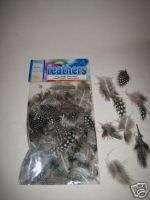 Craft Supplies Favors GUINEA FEATHERS 3 GRAMS  