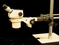 Swift Stereo Zoom Microscope with Twin beam Pillar Stan  
