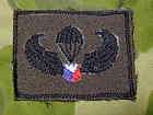 Philippines Basic Parachutist Jump Badge combat subdued