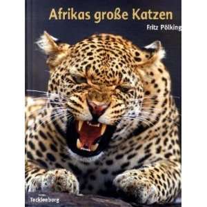 Afrikas grosse Katzen Gepard, Löwe, Leopard  Fritz 