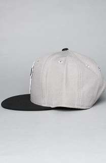 NEFF The Pandaman Cap in Grey  Karmaloop   Global Concrete 