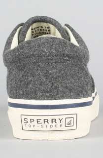 Sperry Topsider The Striper Laceless Sneaker in Grey Wool  Karmaloop 