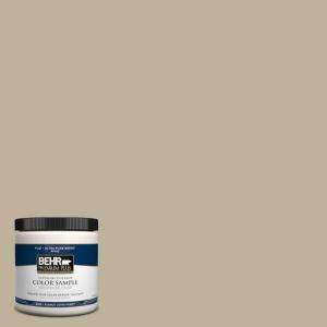   Premium Plus8 oz. Clay Pebble Interior/Exterior Paint Tester # 770D 4
