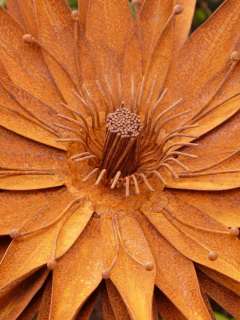 Aster Metall Edelrost rost Blume Blüte Gartenstecker  