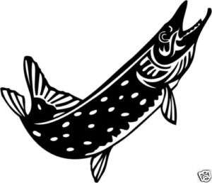 Hecht Aufkleber Sticker Angelsport Fisch m343  