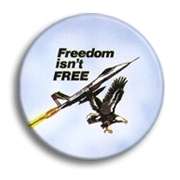 FREEDOM ISNT FREE America patriotic Button jet eagle  