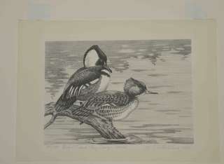 RW35 1968 FEDERAL DUCK STAMP PRINT Mergansers by Pritchard  