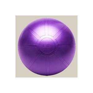 Burst Resistant Core Stability Ball 65cm with DVD  Sports 