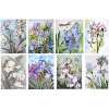 Iris Note Cards Flower Watercolor Art Botanical Floral Notecards (Set 