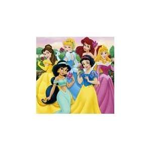  Disney Princess Royal Party Package Toys & Games