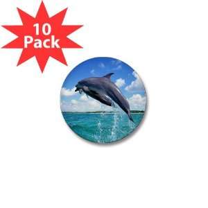  Mini Button (10 Pack) Dolphins Singing 