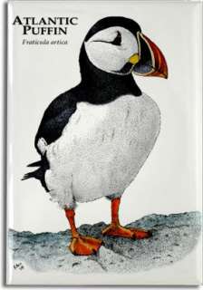 Atlantic Puffin Art Collectible Refrigerator Magnet  