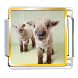  Animal Photo Baby Lambs Italian Charms Bracelet Link 