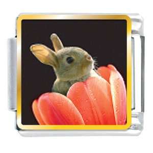  Animal Photo Bunny In Tulip Italian Charms Bracelet Link 