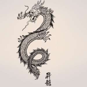   Vinyl Wall Decal Sticker Chinese Asian Dragon 21x46 