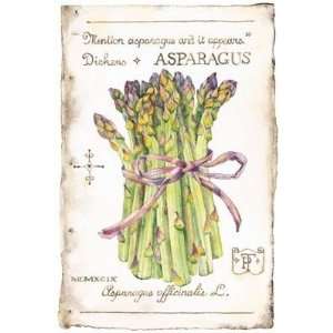  Asparagus Poster Print