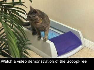  ScoopFree Litter Tray Refills with Premium Blue Crystals 
