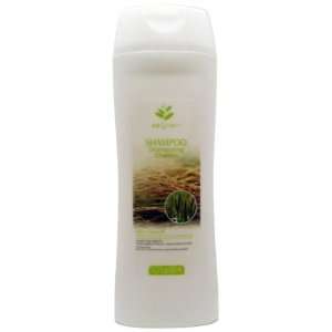   Germ Oil Shampoo   Control Hair Balance Case Pack 96   7968589 Beauty