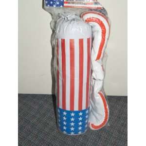   USA Stripes   4oz Boxing Stripe Glove & Mini Bag Set 