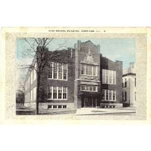  1920s Vintage Postcard   High School Building   Morrison 