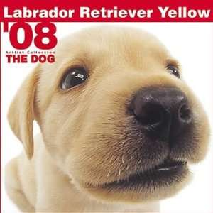  Yellow Labrador Retrievers 2008 Calendar