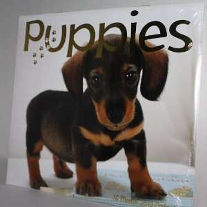  Puppies Calendar