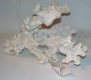 White Coral Piece Beach Decor Nautical Resin Spiny  