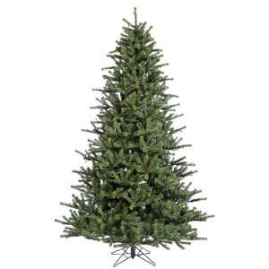  15 Carver Frasier Christmas Tree w/ 6862T