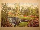 40s Postcard Florida Cypress Gardens Cypress Trees