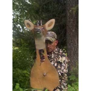  Whitetail Deer Compound Bow Decoy 
