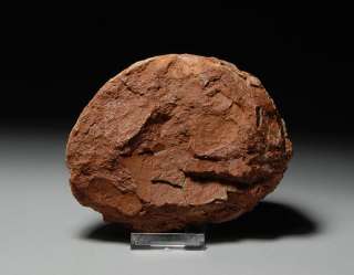 rare and fascinating Prehistoric Fossil   A Fossilized Dinosaur Egg 