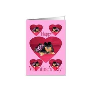  Valentines Day, Pomeranian in dress Card Health 
