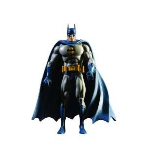   of the DC Universe Series 1 Batman Action Figure Toys & Games