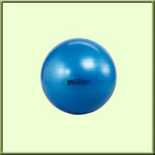 Thera Band PRO Series SCP Exercise Balls  