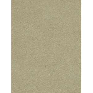  Sensuede Ii Stone by Robert Allen Fabric