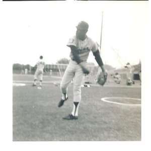 Rod Carew Vintage 3.5x3.5 Minn Twins Snapshot Photo   MLB Photos