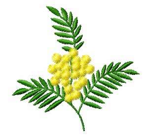 Free Mimosa Embroidery Design items in Israeli Machine Embroidery 