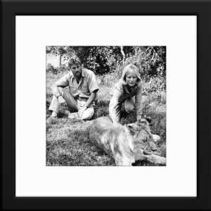   Virginia McKenna Bill Travers) Total Size 20x20 Inches Home