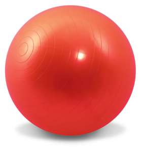 NEW Gym Excercise Workout Ball Red w/Pump and Bag 65 CM  