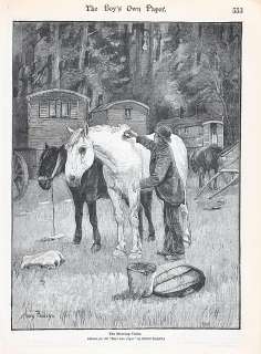 MAN GROOMING DRAFT HORSES ANTIQUE HORSE PRINT 1894  