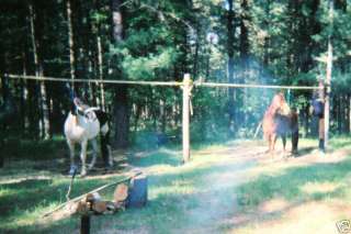 QUICK & EASY HORSE PICKET LINE TREE SAVER TACK CAMPING KNOT 