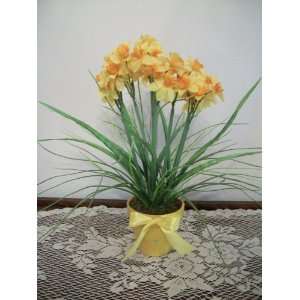  March Birth Month Flower   Yellow Daffodil