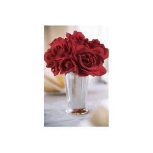  Red ROSES w/ Silver Julep PLANTER POT flowers vase