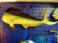 28 Mahi Dorado Dolphin fish Mount art nautical decor  